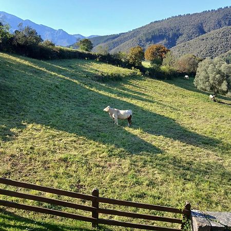 Apartamentos Calm & Nature - Adults Only Cabezon de Liebana Exterior photo