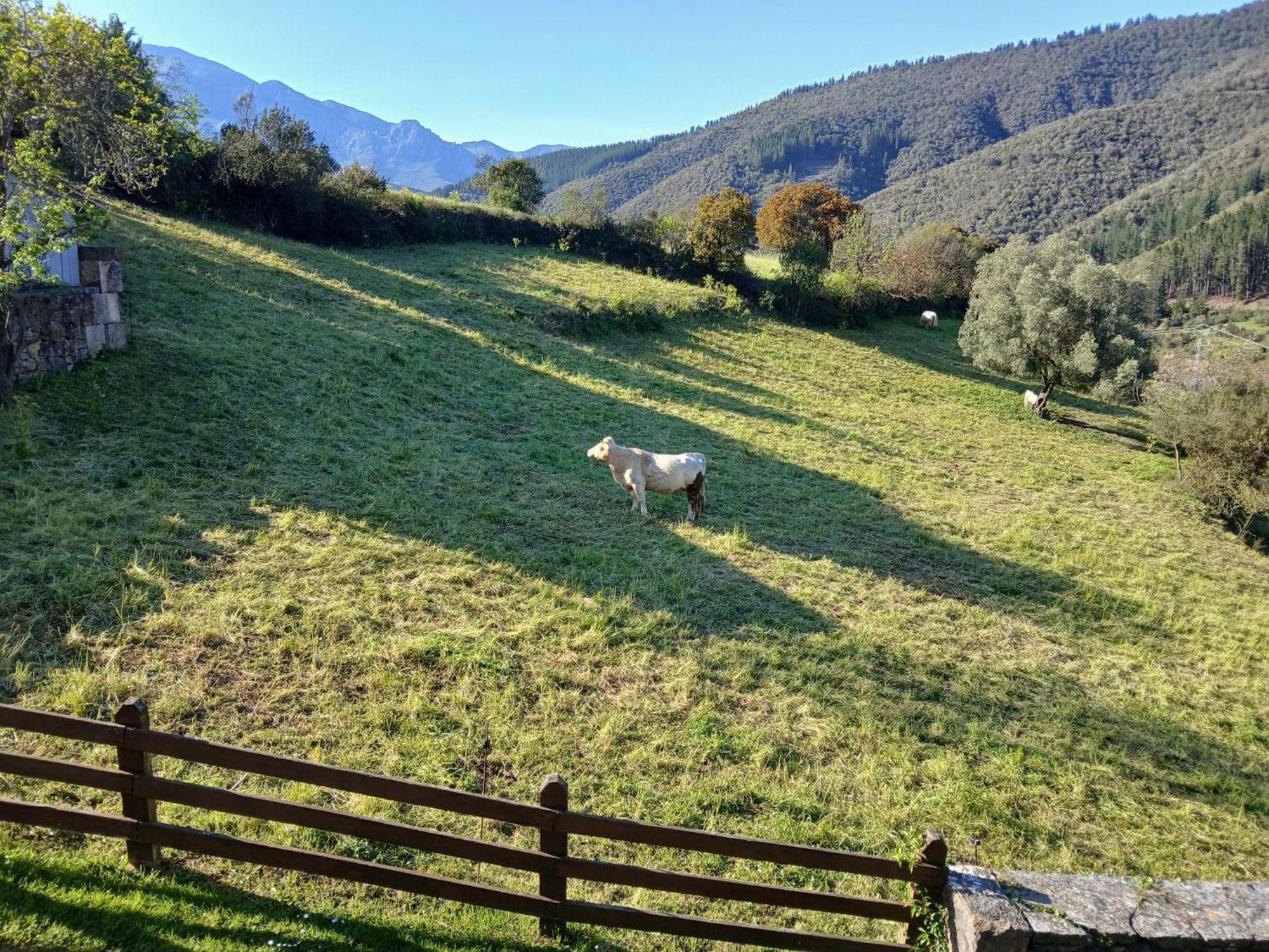 Apartamentos Calm & Nature - Adults Only Cabezon de Liebana Exterior photo